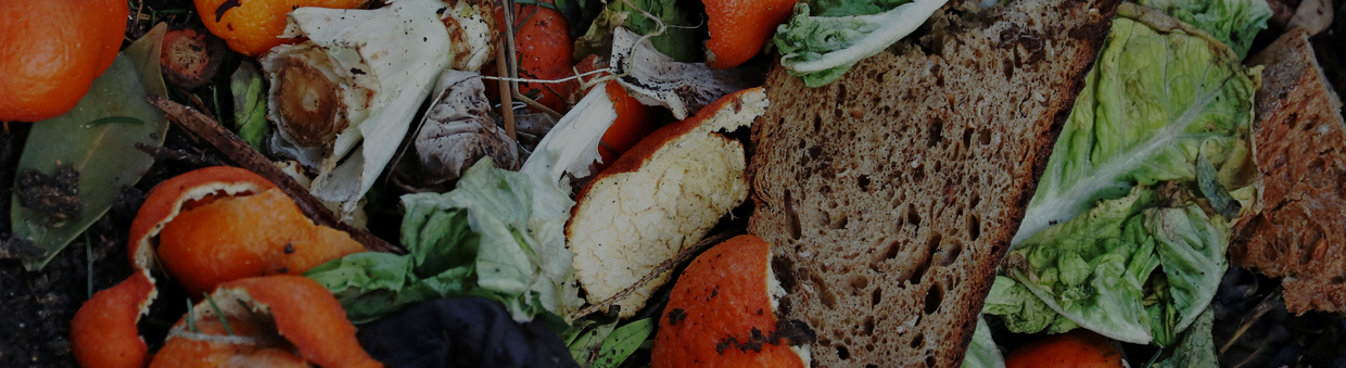 Food Waste Reshapes Corporate Sustainability
