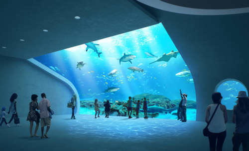 Guests viewing sharks behind aquarium wall